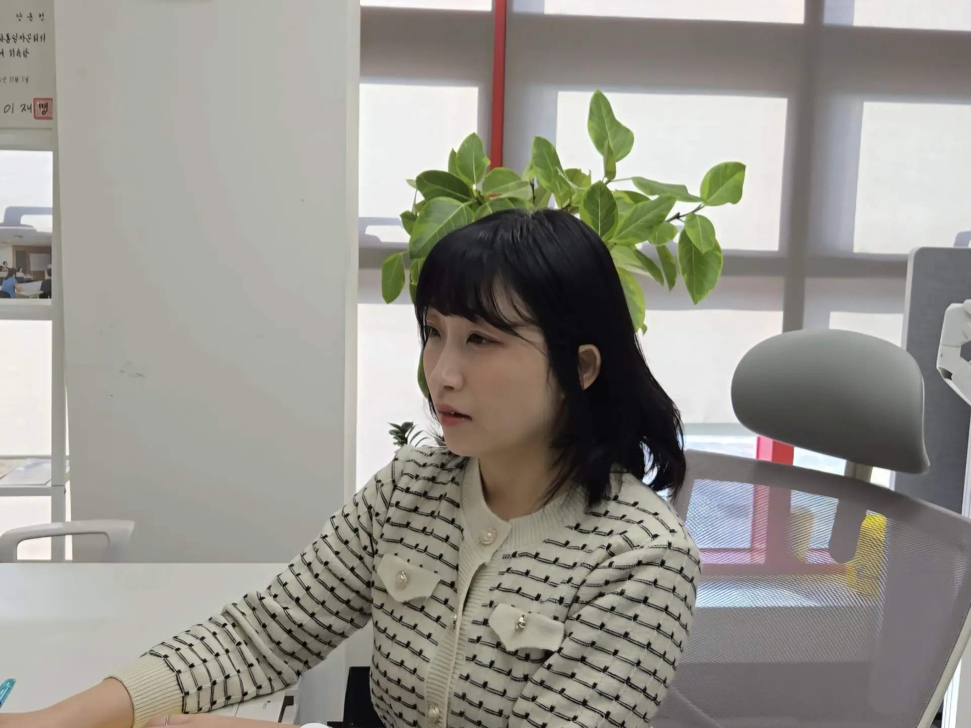 상담 안내