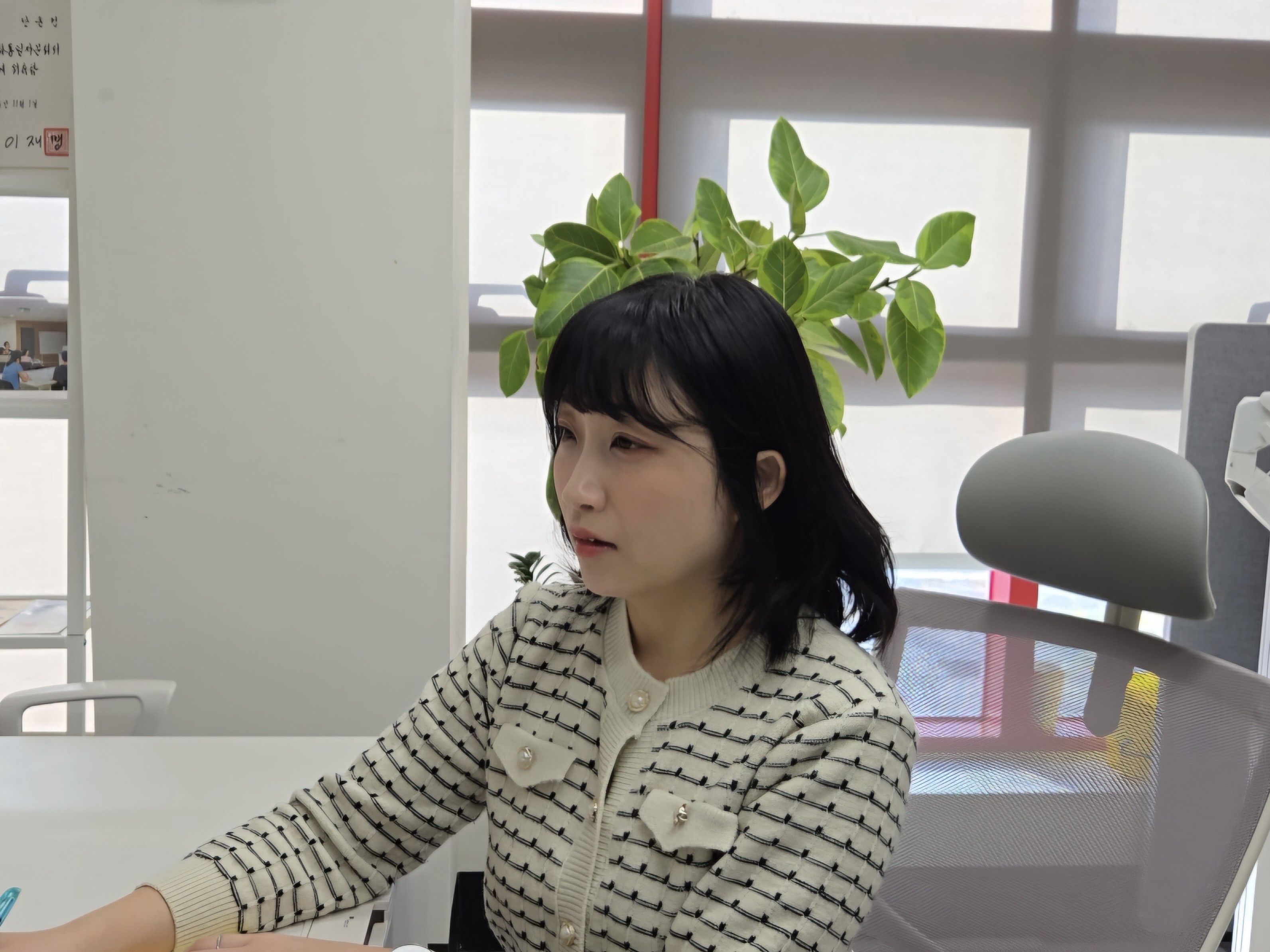 상담 안내